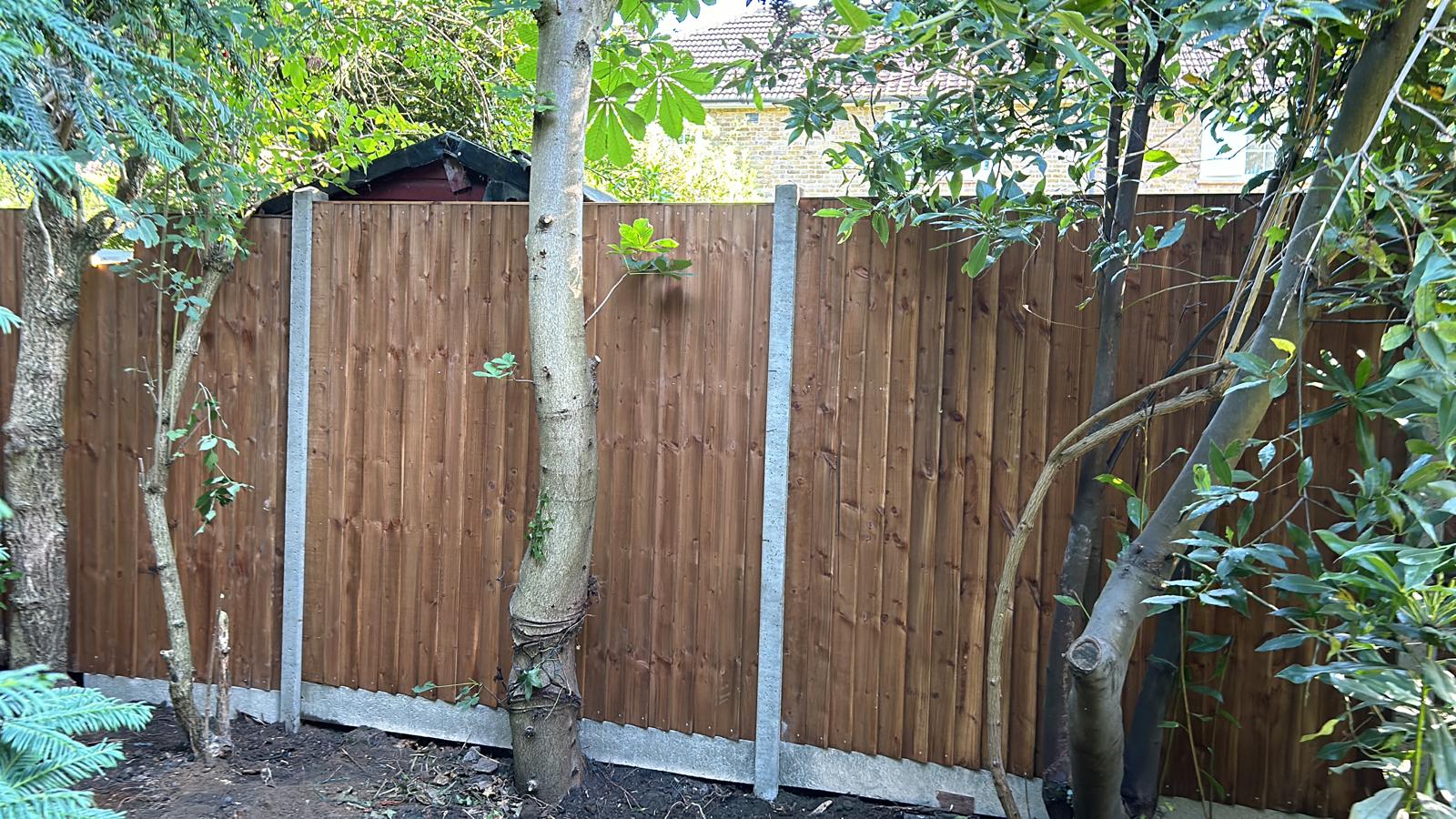 Quality lawn care and landscaping services